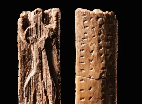 Откриени се записи на дрво, 30.000 години постари од најстарото писмо- германските археолози зачудени