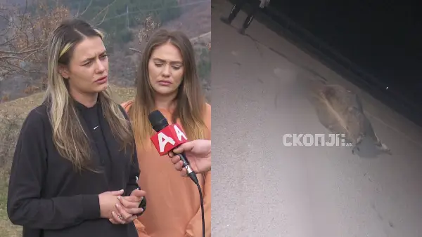 „Предизвикаа паника кај кравите, па ме уапсија мене“, вели Јулијана, која ги напасувала кравите кои ги бркаше АХВ со МВР