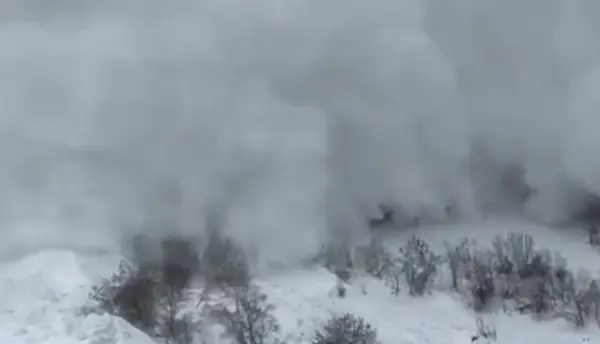 Австрија зимава регистрирала 26 смртни случаи од лавини