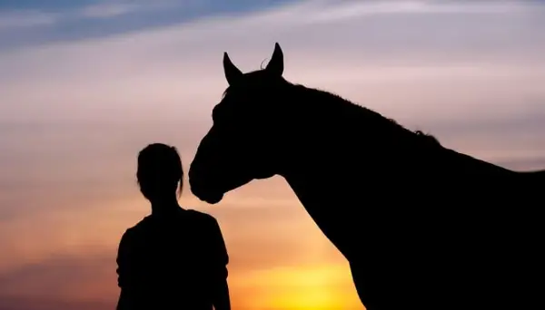 Најстариот жив коњ на светот влезе во Гинисовата книга на рекорди (ВИДЕО)