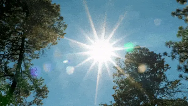 Времето утре ќе биде сончево