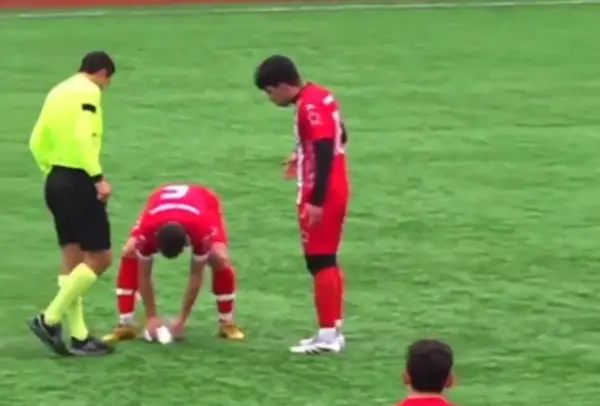 Видео - Неверојатна сцена: Фудбалер оживеа галеб кој беше погоден со топка