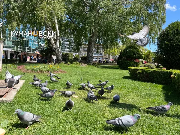 Неделна прогноза: Какво време носи првата мартовска седмица?