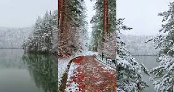 Променливо облачно утро со минусни температури, во текот на денот до 17 степени