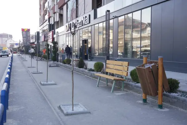 Нови дрвореди на булеварот „Трета МУБ“ (ФОТО)