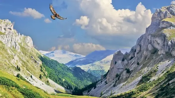 65-годишен скијач од Словенија тешко се повреди на Шар Планина