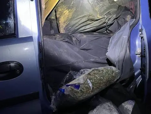 Тошковски: За шверцот на марихуана во Србија ќе одговараат сите инволвирани