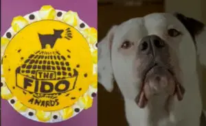 ВИДЕО | И кучињата имаат свои Оскари: Ова се четириножните ѕвезди кои се наградени за своите улоги на големото платно