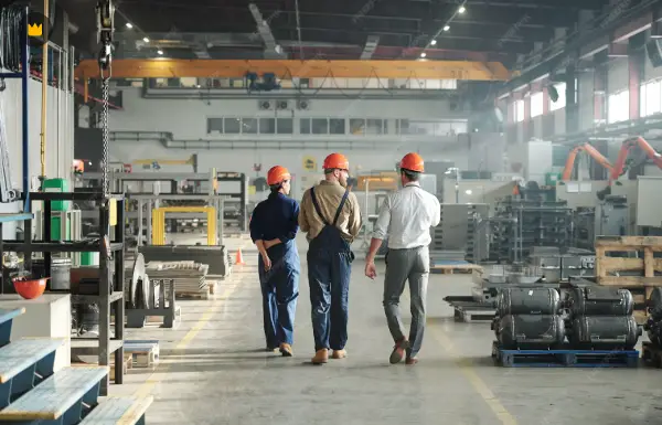 Колку занаетчии им требаат на Германците?