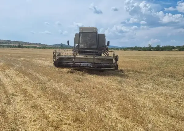 МЗШВ: Исплатени над 237 милиони денари кон македонските земјоделци