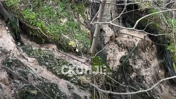 ВИДЕО | Независни за Карпош: Канализација се излева во Горно Нерези, Општината упорно дава одобренија за градби во руралните места